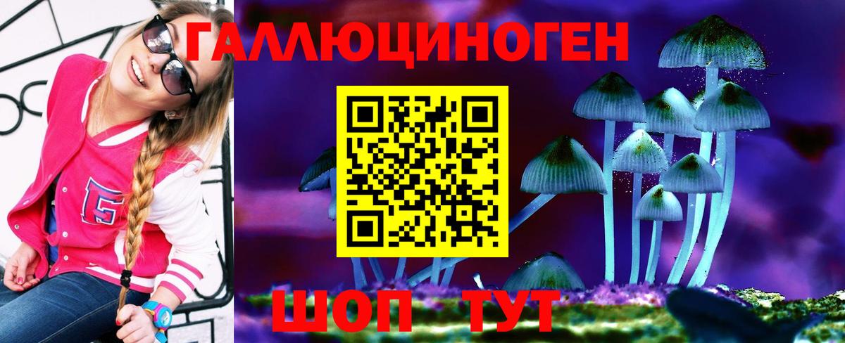 Псилоцибиновые грибы Psilocybine cubensis Краснодар